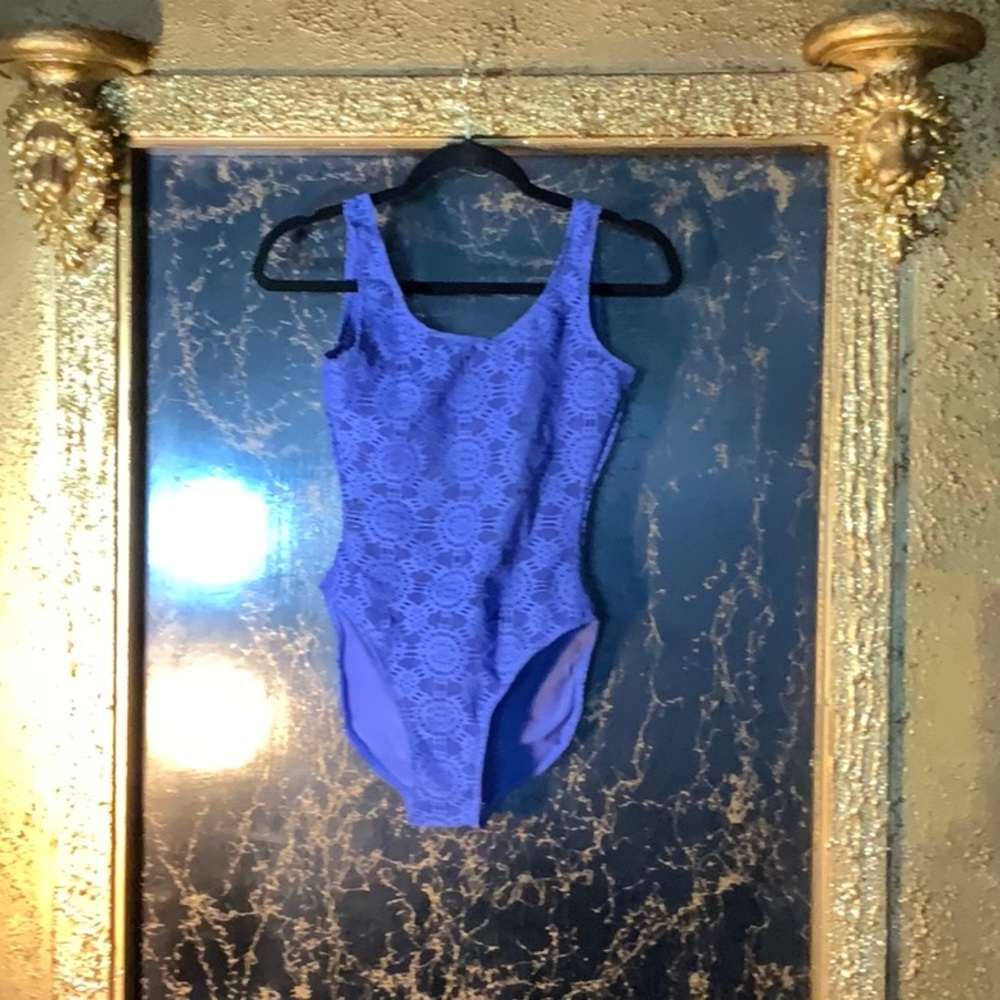 Sun Streak one piece bathing suit.